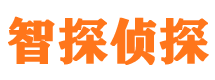 鼎湖外遇调查取证